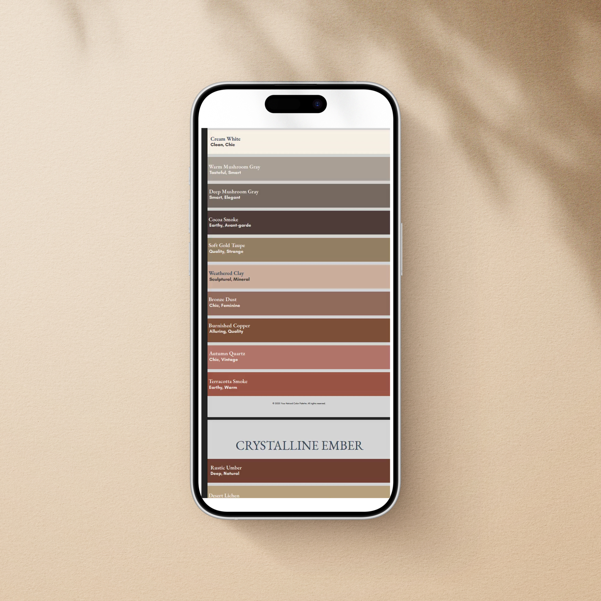 Load video: Custom Digital Color Palette Preview