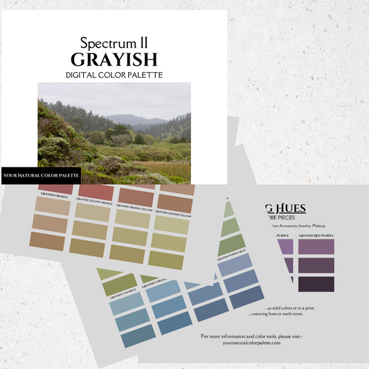 Spectrum II - Grayish Digital Color Palette